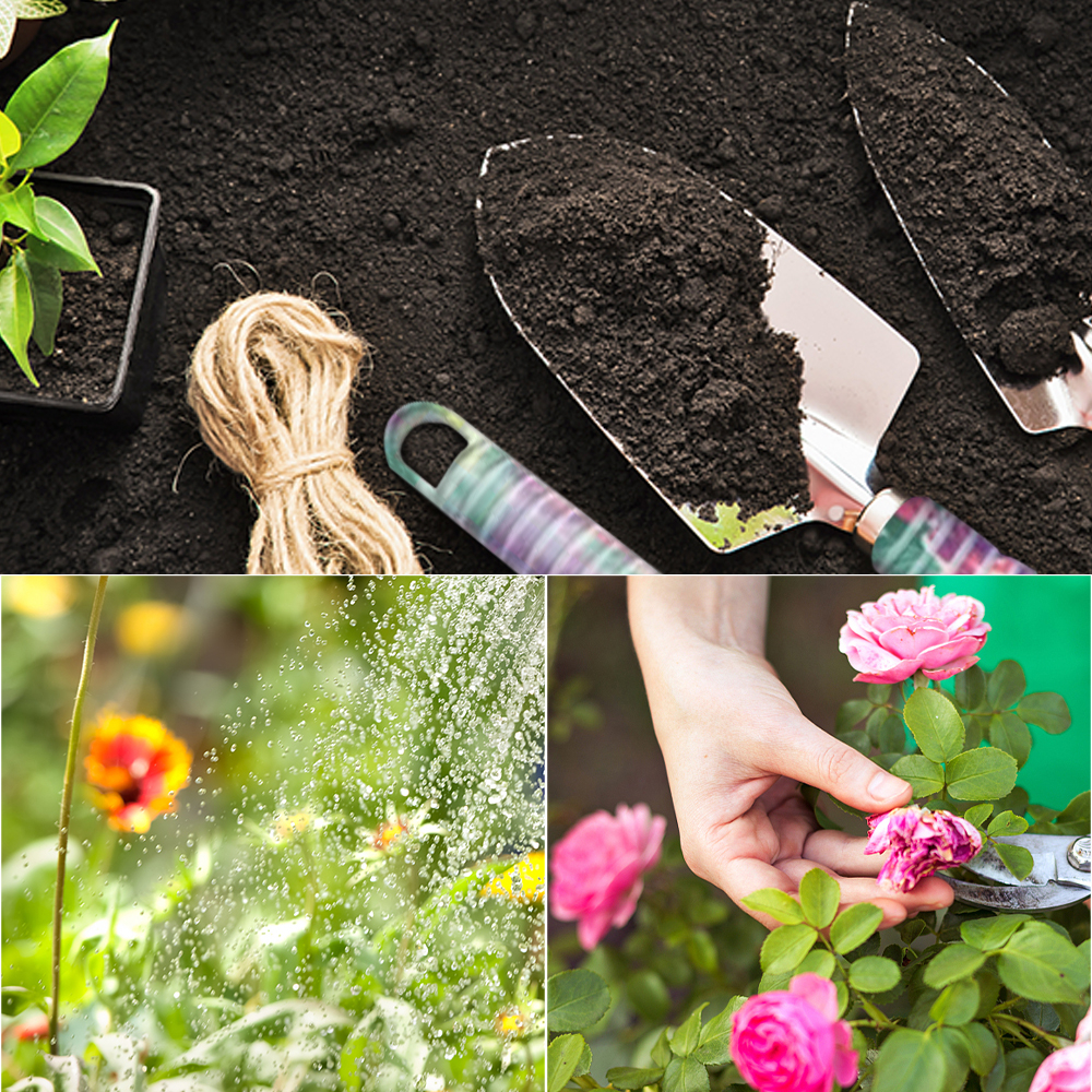 10Pcs/Set Garden Plant Tool Set Shovel Rake Clippers Irrigation Watering Tool Garden Pruning Planting Gardening Tools Kit