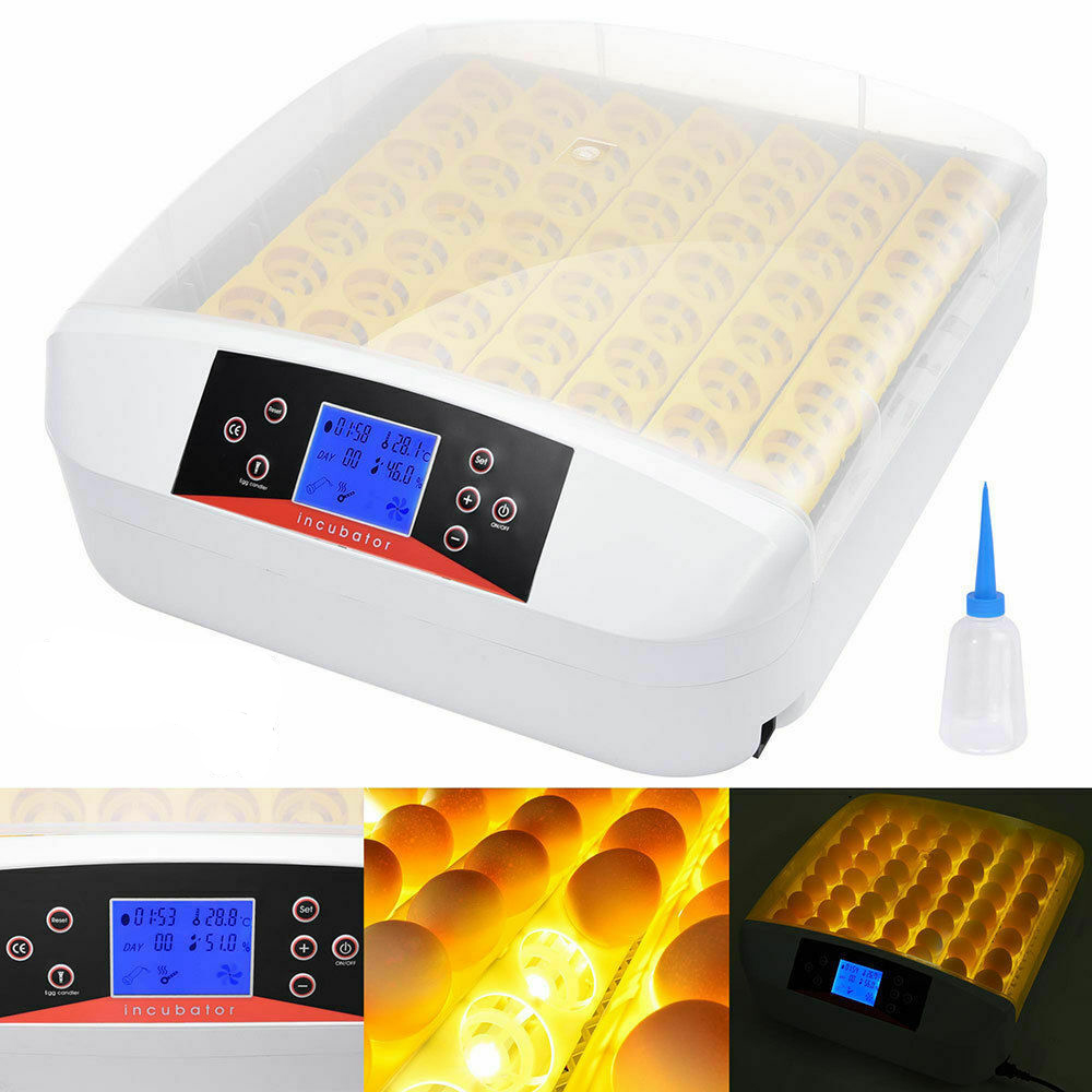 56 Eggs Incubator Automatic Hatcher Poultry Egg Incubator Digital Control Hatchery Farm Incubation Led Brooder HHD