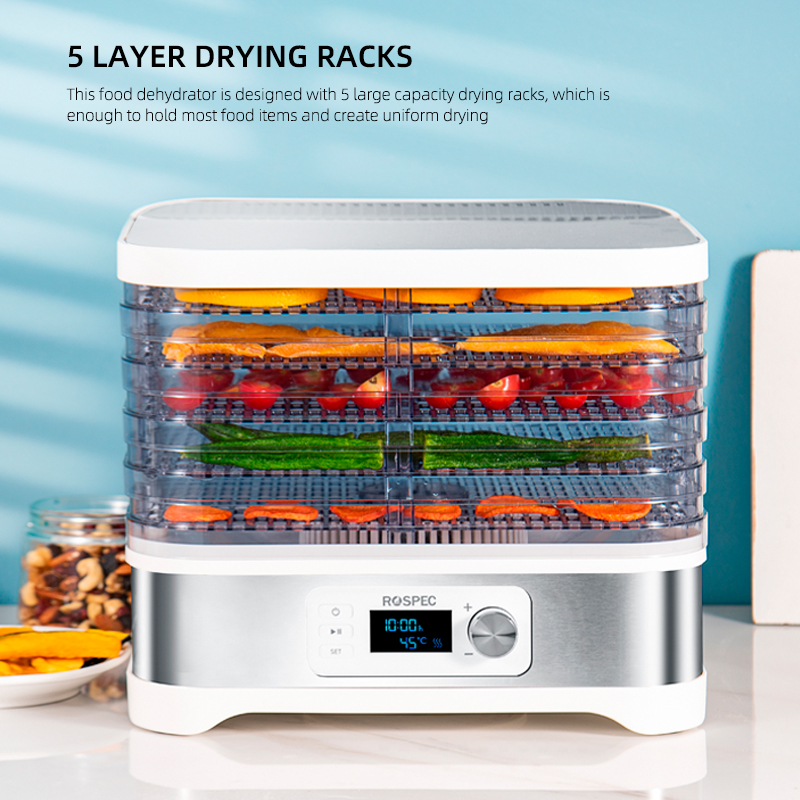 Household Food Processor Fast Food Dehydrator Stainless Steel Drying Machine Electric Air Dryer Drying Fruit Meat Fruit