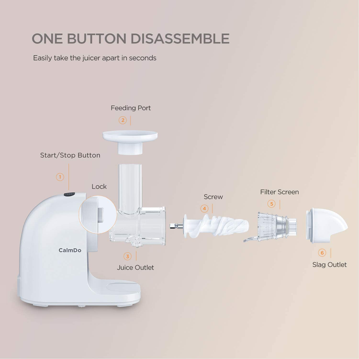 Slow Masticating Juicer Cold Press High Yield 9 Segment Spiral 2 Speed Modes Juicer Machines for Vegetables and Fruits